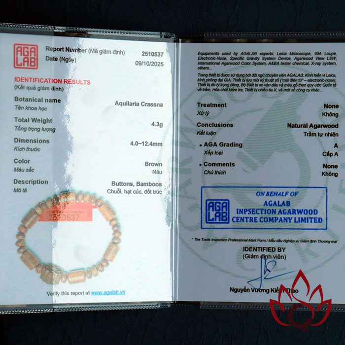 Vòng Trầm Hương Bất Quy Tắc | Charm Hoa Sen | 8 Ly | Trầm Tốc Kiến Tự Nhiên Lâu Năm